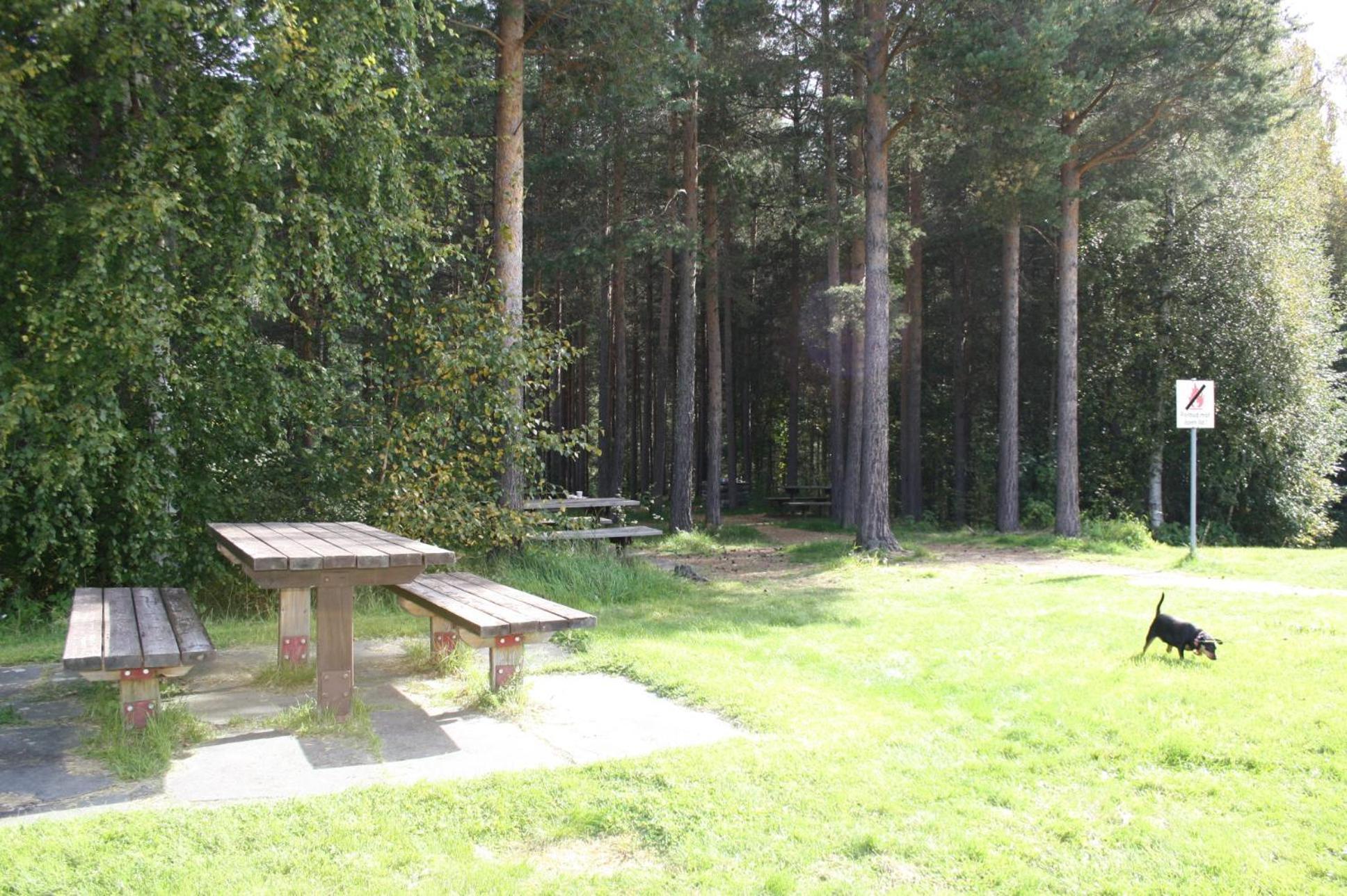 Dovreskogen Gjestegard As 外观 照片
